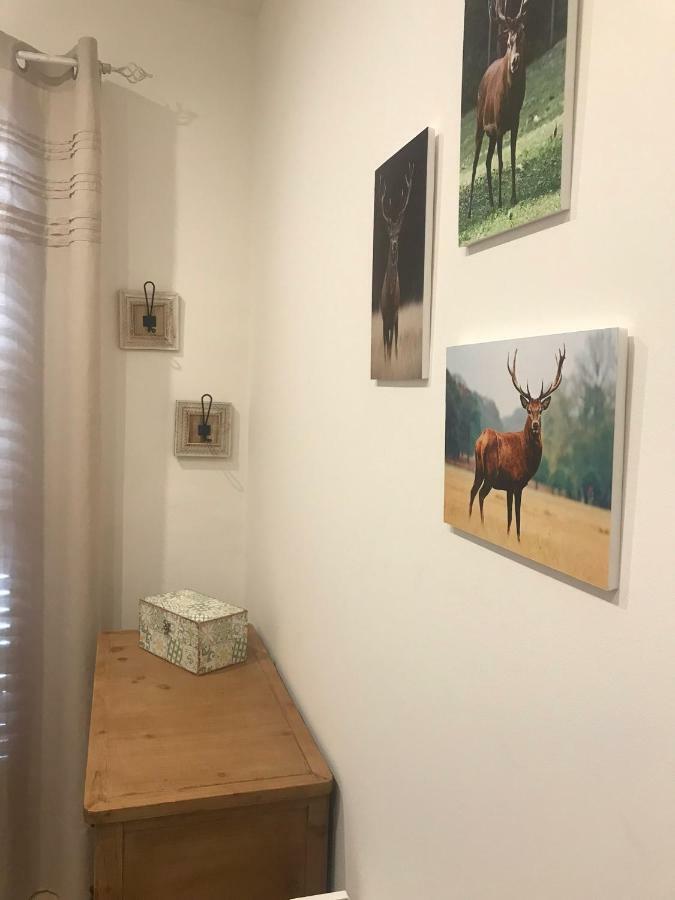 Apartament Neret II Sort Exterior foto